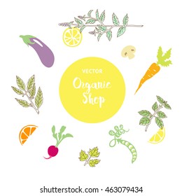 Vector illustration with vegetables.
