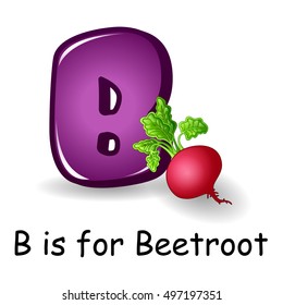 Vector illustration of  Vegetables alphabet, B is for Beetroot 