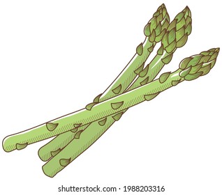 植物 イラスト 手書き の画像 写真素材 ベクター画像 Shutterstock