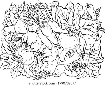 Vector illustration with vegetables, beets, potatoes, carrots, celery, paprika, tomatoes, ginger, borscht