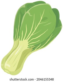 Vector illustration of vegetables "bok choy"