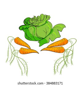 Vector illustration of vegetables cabbage, and carrots