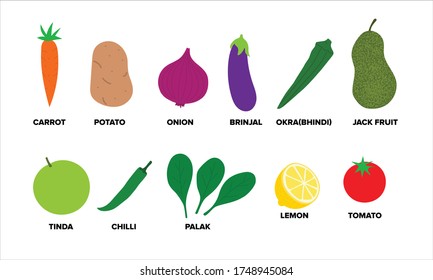 Vector illustration of Vegetables. Carrot, Tomato, Onion, Brinjal / Eggplant, Okra, Tinda, Chilli, Palak, Lemon, Tomato, Jack-fruit