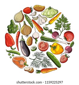 Vector illustration of vegetables in a circle