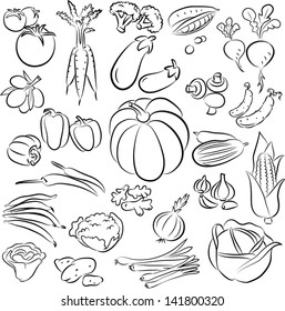 vector illustration of  vegetables collection in line art