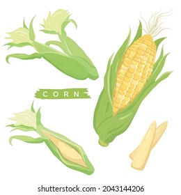 Vector illustration of vegetables "corn"