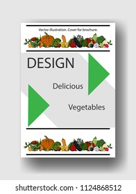 Vector illustration of vegetables. Cover template for brochures, posters, banners, postcards.