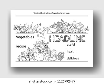 Vector illustration of vegetables. Cover template for brochures, posters, banners, postcards.