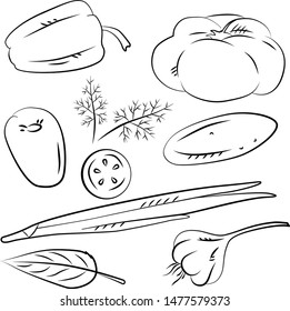 Vector illustration vegetables, drawing outline. Cucumber, tomato, garlic, dill.