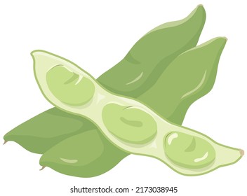 Vector illustration of vegetables 