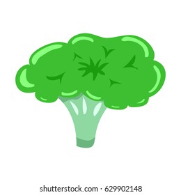 Vector illustration of vegetables. Fresh broccoli.