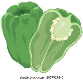Vector illustration of vegetables "Green pepper"