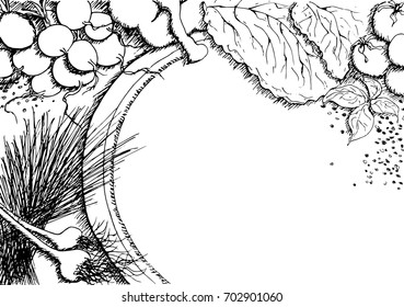 Vector illustration of vegetables, hand drawn set with tomatoes, cabbage leaves, onions, radishes, top view