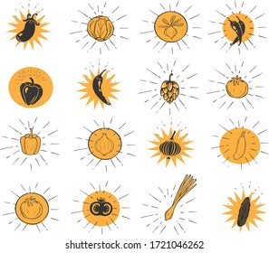 Vector illustration of vegetables icons with colorful underlays. Eggplant, cabbage, chili pepper, paprika, hops, tomato, leek, onion, cucumber in a stencil grunge vintage hand drawn style.