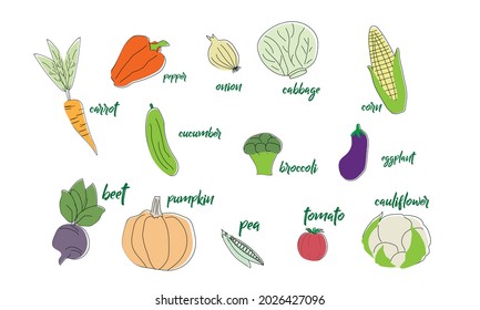 Ilustración vectorial de las hortalizas con inscripciones: tomate, remolacha, pimienta, berenjena, pepino, brócoli, zanahoria, calabaza, col, cebolla, coliflor, zanahoria, maíz.