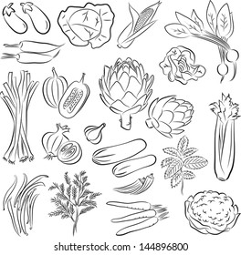 Vector Illustration of vegetables in line art