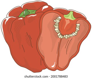Ilustración vectorial de las hortalizas "paprika"