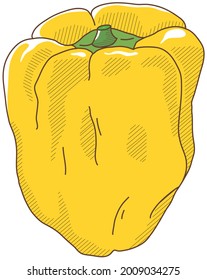 Vector illustration of vegetables "paprika"