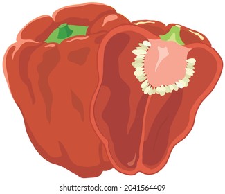 Ilustración vectorial de las hortalizas "paprika"
