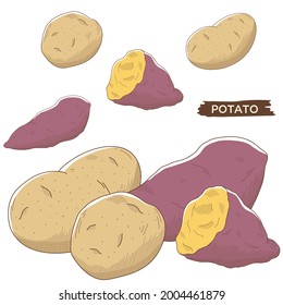 Ilustración vectorial de las hortalizas "papa"