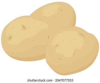 Vector illustration of vegetables "Potato"