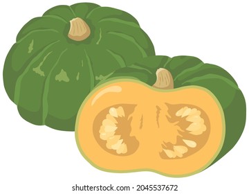 Ilustración vectorial de las verduras "calabaza"