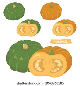 Vector illustration of vegetables "pumpkin"