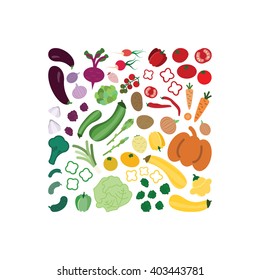 Vector illustration / vegetables rainbow / square design