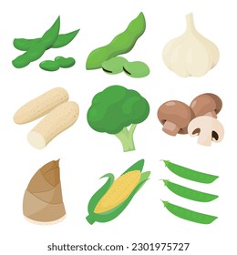 Vector illustration of vegetables rich in protein.