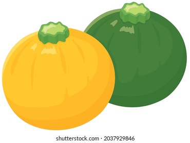 Vector illustration of vegetables "Round zucchini"