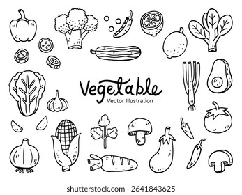 Vector illustration of vegetables Set Collection – food and organic plants concept, hand drawn doodle art style