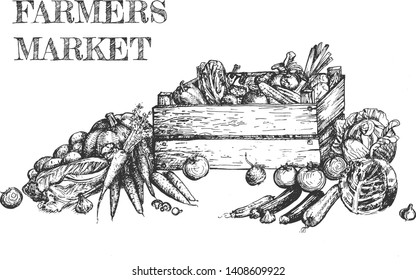 Vector illustration of vegetables set. Still life of tomatoes, cabbage, pumpkin, salad, carrot, zucchini, garlic, beetroot in wooden box for craft shop, rustic farmer market. Vintage hand drawn style.