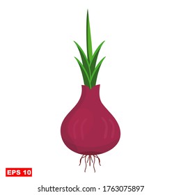 vector illustration of Vegetables, shallot. illustration of shallot in a flat style.Can be used for covers, flyers, posters, business cards and the web.