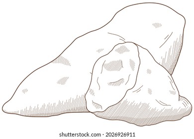 Vector illustration of vegetables "sweet potato"