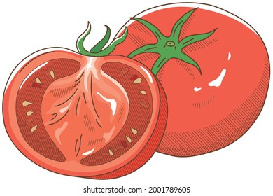 Vector illustration of vegetables "tomato"