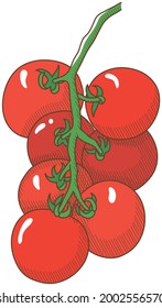 Vector illustration of vegetables "tomato"