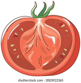Vector illustration of vegetables "tomato"