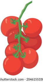 Ilustración vectorial de las hortalizas "paprika"
