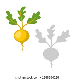 Vector Illustration vegetables Of turnip
