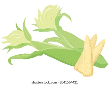 Vector illustration of vegetables "young corn"