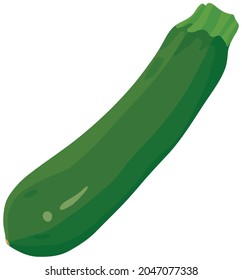Ilustración vectorial de las hortalizas "zucchini"