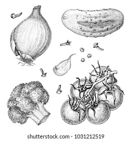 vector illustration vegetarian set attributes eps 8 ink pen drawing