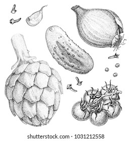 vector illustration vegetarian set attributes eps 8 ink pen drawing