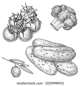 vector illustration vegetarian set ink pen
