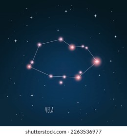 Vector illustration Vela constellation. dark blue sky, starry sky, outer space, starlight. 