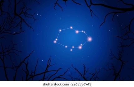 Vector illustration Vela constellation. Tree branches, dark blue starry sky, cosmos. Illustration of constellation scheme Vela 