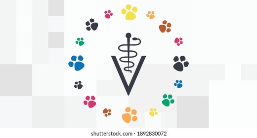 vector illustration of veterinary symbol and colorful paws circle for vet clinic emblem