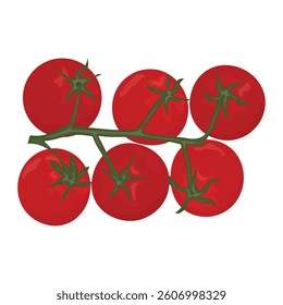 A vector illustration of a vibrant branch of ripe red tomatoes. Perfect for food, culinary,  and healthy eating-related designs. The  ideal for packaging, background designs, and infographics.