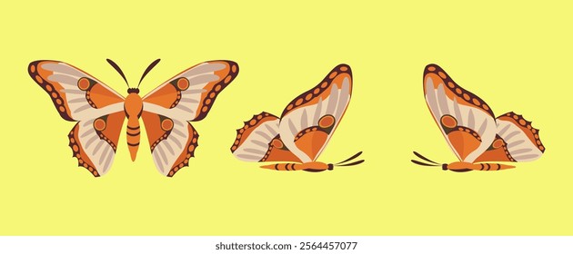 Vector illustration of a vibrant orange butterfly in three poses, displayed on a bright yellow background. Perfect for design projects.