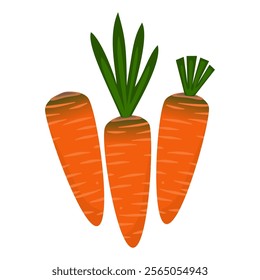 Vector illustration of a vibrant orange carrot with a smooth texture and fresh green leafy top. Designed in a clean, minimalist style, healthy themes, recipe designs, or agricultural graphics